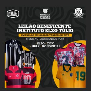 Leilão Social Instituto Elzo Túlio • Lote - ARREMATADO!